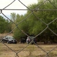 El Equipo de Antropología Forense confirmó que los restos óseos encontrados no eran humanos