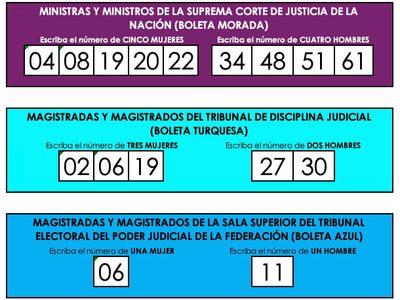 Tendencias en redes auguran voto diferenciado por zona geográfica en elección judicial