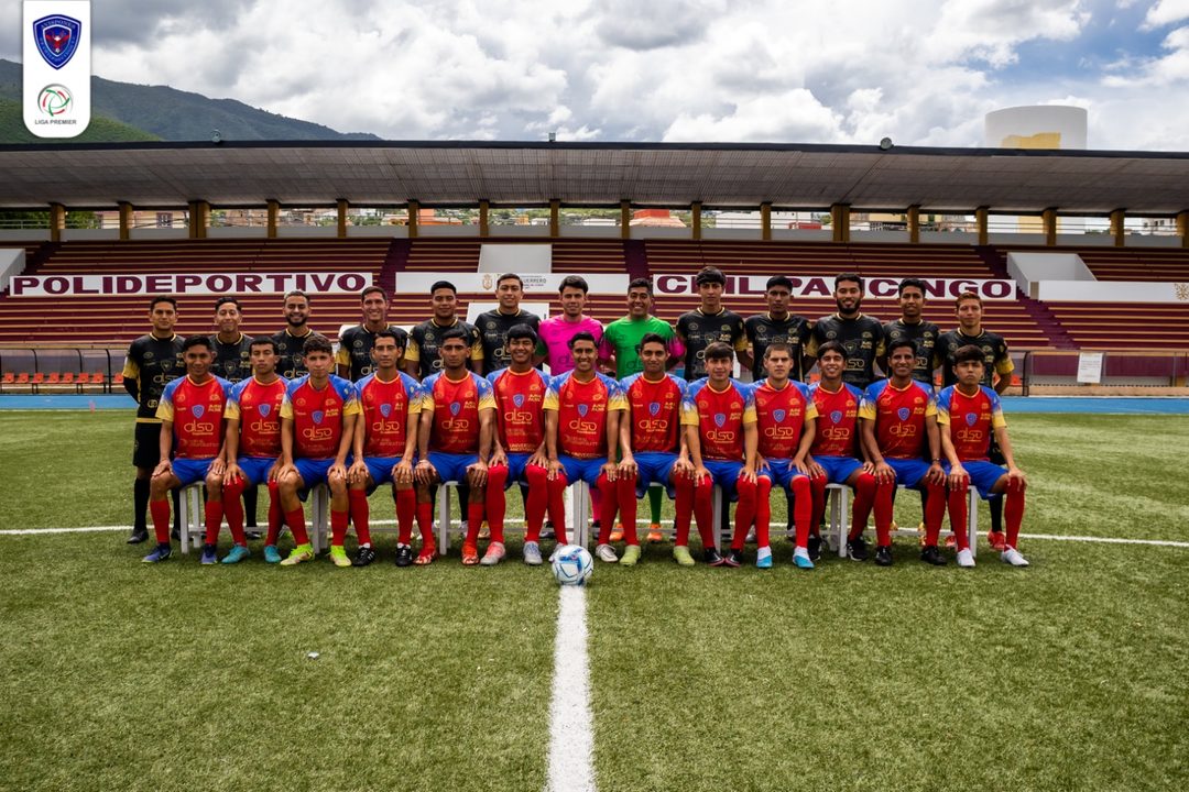Equipo Avispones