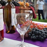 El vino rionegrino, la estrella de la Vendimia