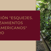 Gin Ro en el Instituto Cultural de México en Madrid