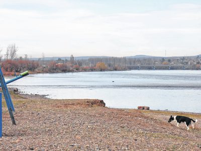 Cipolletti: continúa la búsqueda del joven desaparecido en el Río Limay