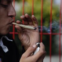 Regulación de la mariguana: qué se permite y qué no