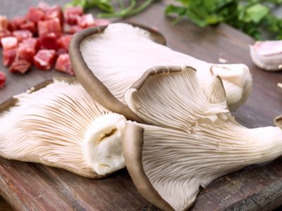 Recetas y ciencia: secretos para cocinar con hongos