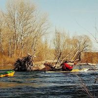 Excursión con kayak y flotada en un rincón tranquilo del río Negro