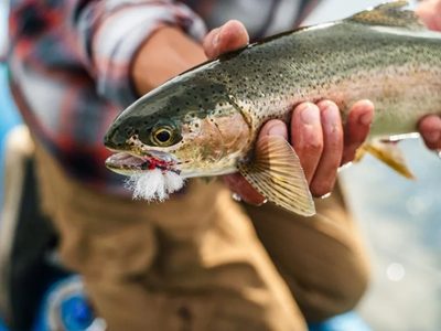 Atención, pescadores: A partir del 15 de octubre se podrá obtener el permiso de pesca en Neuquén
