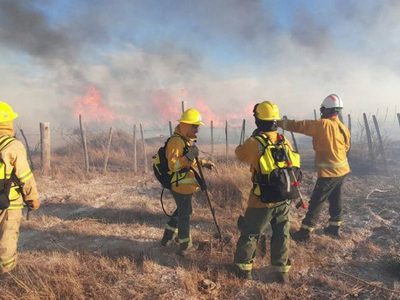 Voraz incendio en Picún Leufú, consumió 25 hectáreas: los detalles