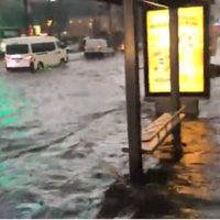 Lluvias provocan inundaciones y caída de árboles en la CDMX (Video)