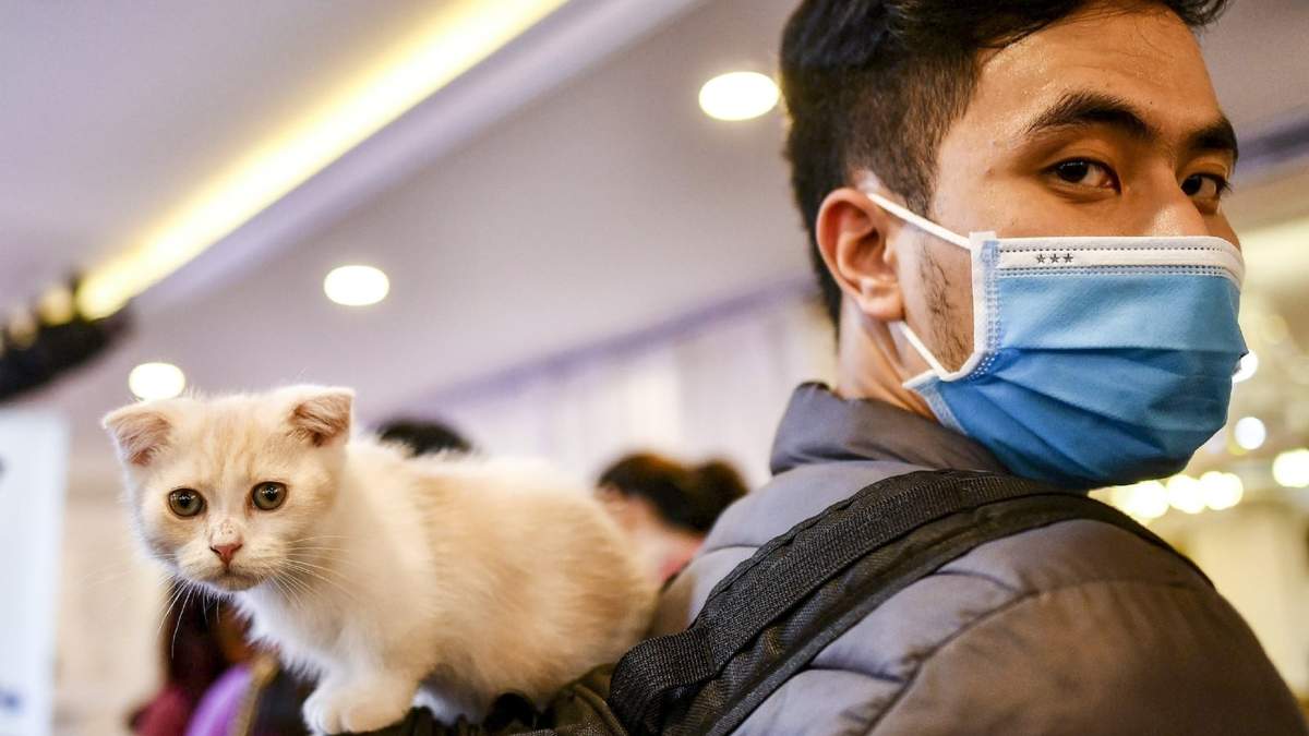 Un medicamento podría ser efectivo para tratar el coronavirus. Fuente: (Twitter)