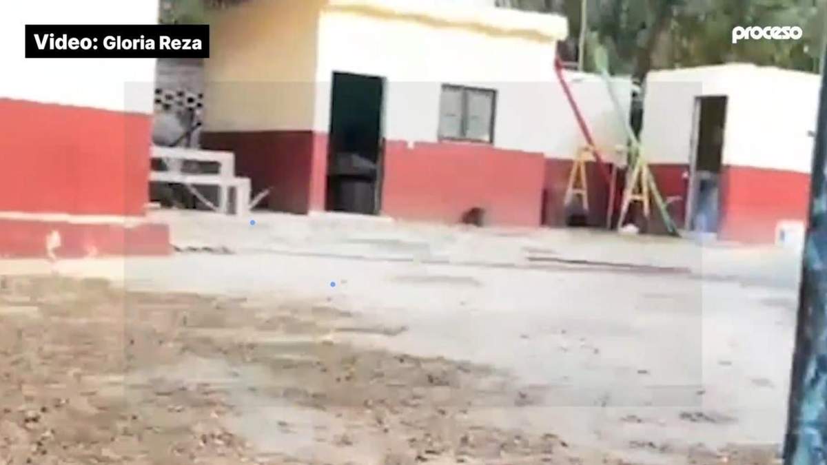 Escuela vacía y saqueada en la comunidad Los Naranjos, en Tequila, Jalisco