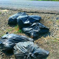 Ganaderos y caporal secuestrados son hallados muertos al sur de Veracruz