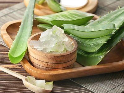 Usos y virtudes del Aloe Vera, una de las suculentas más recomendadas para tener en casa