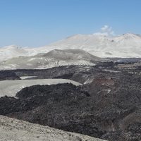 Detectaron mayor actividad en el volcán chileno que tapó de cenizas a Villa La Angostura