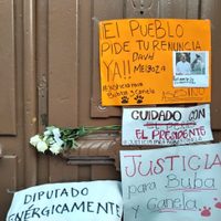 Gobernador de Michoacán sugiere al alcalde que mató a las perras Buba y Canela que pida licencia