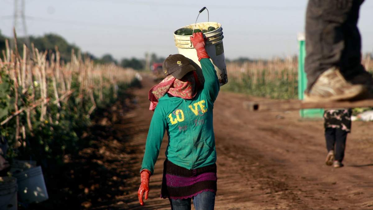 Trabajador del campo