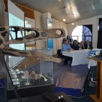 Descubrimiento: Diuqin lechiguanae, un nuevo dinosaurio carnívoro de la Patagonia