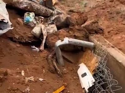 Con maquinaria pesada, constructora destruye albergue para mascotas en Ensenada