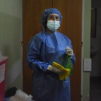 Neuquén reportó la cifra más baja de contagios de coronavirus en lo que va del año
