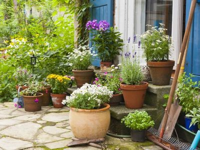 "El riego invertido", la técnica que tenés que probar para que tus plantas crezcan sanas y rozagantes