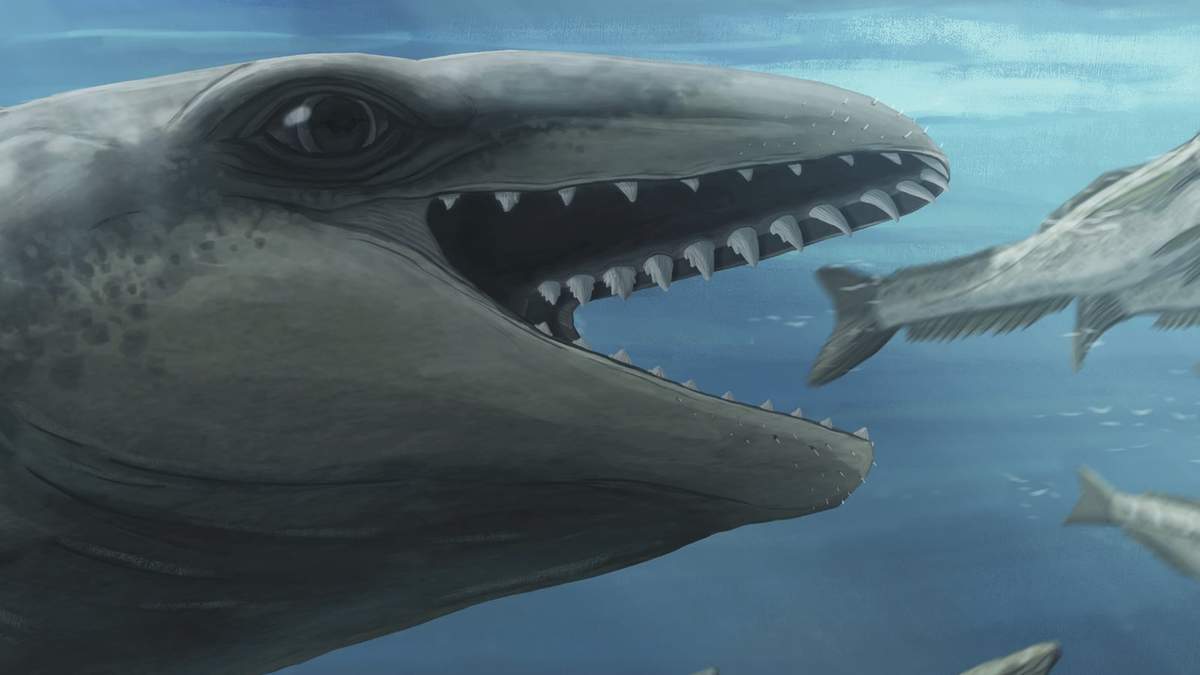 En esta ilustración proporcionada por Ruairidh Duncan muestra una ballena Janjucetus dullardi que va en busca de peces