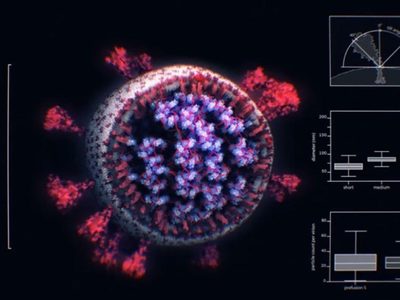 Empresa austriaca muestra imágenes en 3D del virus SARS-CoV-2