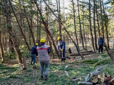 El Bosque Comunal de Zapala se prepara para recibir la temporada primavera verano