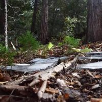 Bacterias evolucionan en meses en respuesta al cambio climático