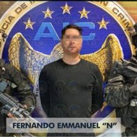 Capturan en Guanajuato a "El Panther" presunto líder operativo del Cártel de Santa Rosa de Lima