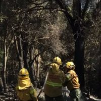 El incendio en Meliquina mantiene focos activos en unas 7 hectáreas de bosques
