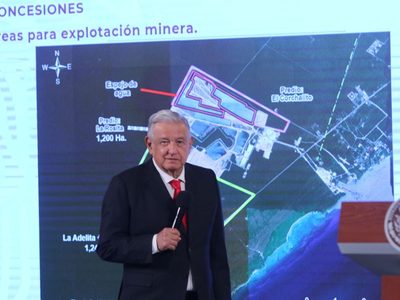 AMLO a famosos por el Tren Maya: "No distinguen entre monte alto y el árbol Cacahual"