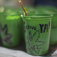 UNAM lanza diplomado sobre cannabis; estas son las fechas y la guía de registro