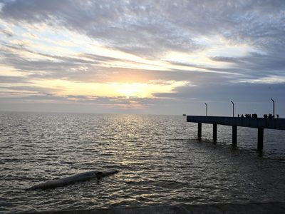 La NASA convierte al Río de la Plata en una sinfonía