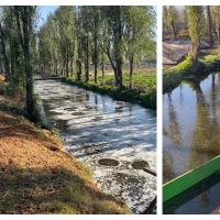 Se viraliza video de los canales de Tláhuac y Xochimilco "burbujeando" durante el sismo