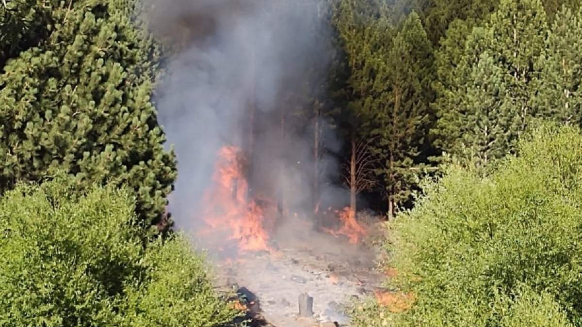 El incendio en Chiquilihuin se estima que fue intencional. Fuente: (Realidad SanMartinense)