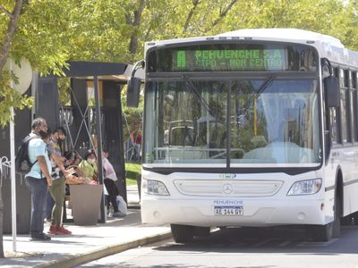 Paro de colectivos: los chóferes de Pehuenche y Ko-Ko reanudaron el servicio hacia Neuquén