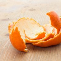 Nunca más tires las cáscaras de naranja: así las podés usar para salvar tus plantas y mejorar tus comidas