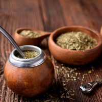 Por qué este domingo se celebra el Día Nacional del Mate