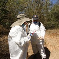 La terquedad de buscar a los hijos en plena pandemia