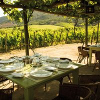 Las bodegas presentan protocolo para el Enoturismo