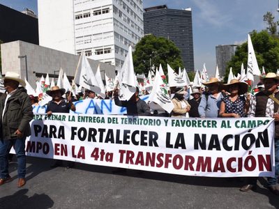 Campesinos advierten: reunión con AMLO o paro nacional de dos días y sigue el plantón