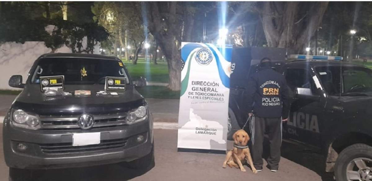 El operativo se realizó en la ciudad de Choele con participación de la sección canes. Fuente: Prensa Policía Río Negro.