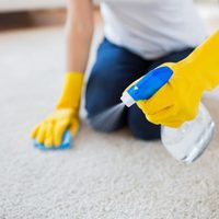 Conocé el secreto de la abuela para limpiar alfombras en seco y que queden impecables sin tener que mojarlas