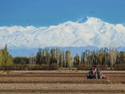 Despertar fresco y tarde primaveral: se espera un miércoles de sol