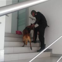 Artefactos explosivos en banco causan movilización y desalojos en Celaya