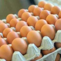 No tires los maples de huevos y hacé este objeto para decorar tu living sin gastar ni un peso