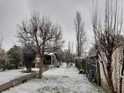 Nieve en Mendoza: así está la provincia