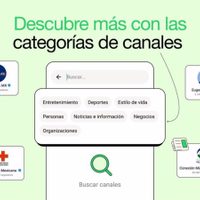 WhatsApp lanza Categorías en los canales, opción para descubrir contenido basado en los intereses
