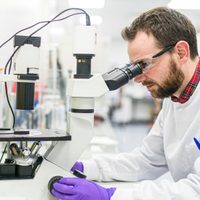 Científicos de Johnson & Johnson crearían unas 1.000 millones de vacunas contra el coronavirus