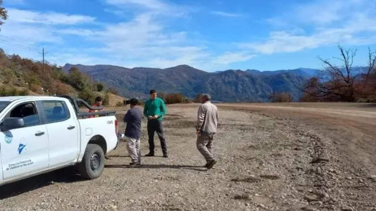 Trabaja el personal del Distrito 4 de Vialidad. Fuente: (Dirección Provincial)