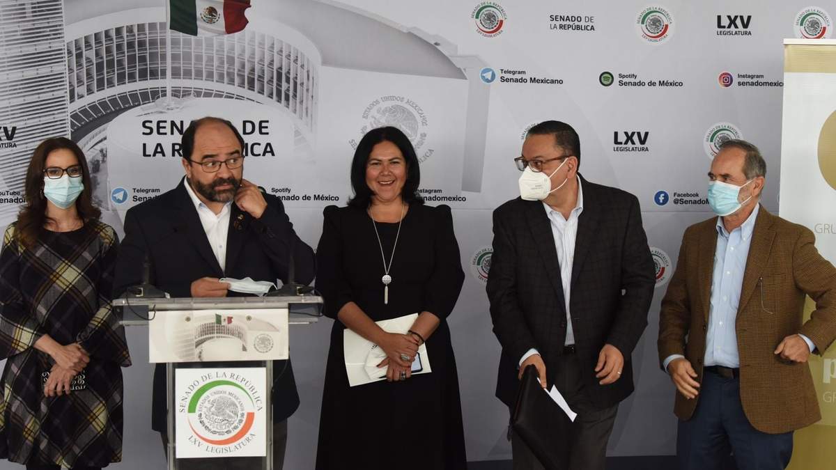 El llamado "Grupo plural" del Senado